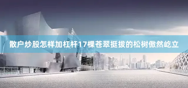 散户炒股怎样加杠杆17棵苍翠挺拔的松树傲然屹立